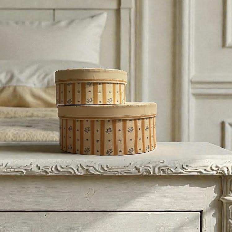 Set de 2 boites de rangement